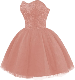 Strapless Short Tulle Homecoming Dresses for Teens Lace Prom Dresses for Women Beaded A Line Party Cocktail Dresses 4 Dusty Rose