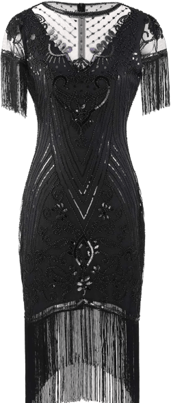 FAIRY COUPLE Women's 1920s Lace Neck Great Gatsby Dress Sequin Art Deco Flapper Dress with Sleeve D20S028
