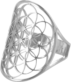 kkjoy Openwork Flower of Life Ring Stainless Steel Adjustable Open Finger Rings Promise Ring Jewelry Gift for Women Charming Ladies A-Silver