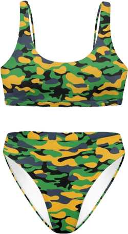 INSTANTARTS Two Piece Bikini Set Swimsuit Sport Low Crop Top Leopard Swimwear : Clothing, Shoes & Jewelry