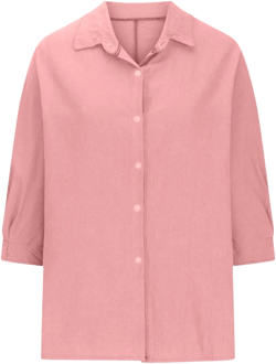 Wisgofre Womens Button Down Shirts 3/4 Sleeve Dress Shirt Business Ladies Summer Trendy Work Shirt Slim Fit Classic Shirt : Clothing, Shoes & Jewelry