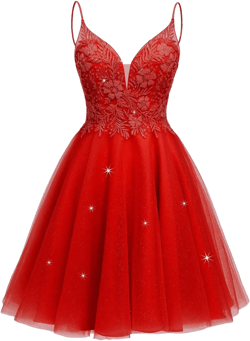 MARSEN Tulle Homecoming Dresses for Teens Lace Short Prom Dress V Neck Beaded Mini Dress Red Size 24