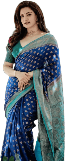 Banarasi Soft Tissue Silk Saree, Indian Traditional Banarasi Soft Tissue Silk Saree