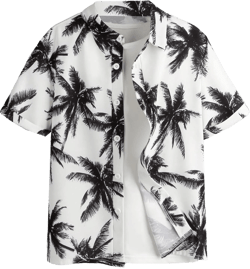 SweatyRocks Boy's Tropical Graphic Print Short Sleeve Button Down Shirt Casual Hawaiian Shirts