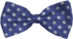 Silk Man Tie Blue White