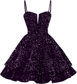 Women Sequins Homecoming Dresses Short 2024 Spaghetti Strap Prom Dress Plum Plus Size 20