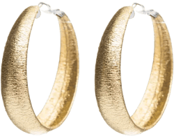 Fashion Lucite Hoop Earrings Metallic Gold Small