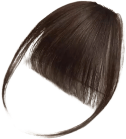 Fringe Bangs For Women Real Human Hair Clip In Bangs, Fake Bangs Hair Extensions Wispy Clip On Air Bangs For Women Fringe With Temples Hairpieces Curved Bangs For Daily Wear (Dark Brown)