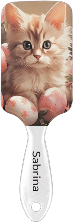 Custom Air Cushion Massage Hair Comb Personalized Name Massage Scalp Hair Brush for Girls Women Cute Cat Multicolor