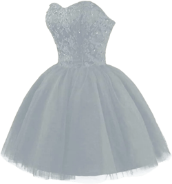 Strapless Short Tulle Homecoming Dresses for Teens Lace Prom Dresses for Women Beaded A Line Party Cocktail Dresses 24 Plus Silver