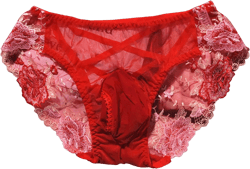 Men's Sexy Low Rise Flower Lace Embroidery Mesh Sheer Boxer Briefs Bikini Panties Underwear with Sheath One Size Red,with Pouch