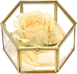 Hipiwe Preserved Flower Glass Box, Hexagon Glass Jewelry Decorative Box, Ornate Trinket Display Organizer Case Keepsake Box Gift for Women and Girls