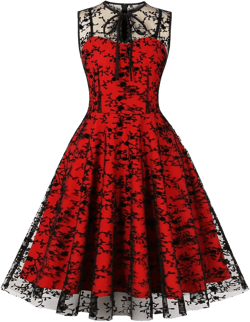 Women Mesh Floral Embroidery Vintage Cocktail Swing Dress Illusion 50s Goth Flared A line Casual Wedding Prom Evening Dress Medium Red