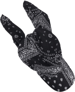 Ladies Islam Muslim Hijab Cap Flower Baseball Caps Fashion Floral Hair Turban Cap Stretch Boho Head (Black, One Size)