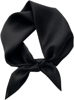 PoeticEHome 100% Mulberry Silk Neck Scarf 21"x21" Small Square Scarfs for Women Gift Packed B1 - Jet Black 21"