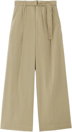 The Pleated Wide-Leg Chino