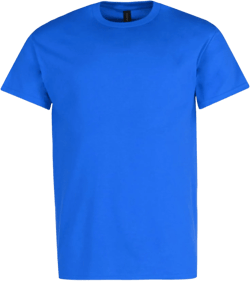 Gildan Men  Classic Crew Neck T Shirt (Men Big & Tall)