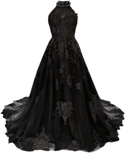 Mouccy Elegant High Neck Black Wedding Dresses for Bride Lace Tulle Bridal Gowns with Train A-line Pearly Wedding Gowns 12 Black