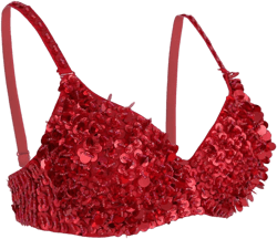Womens Sparkle Sequins Beading Padded Bra Rave Dance Belly Dancing Crop Top Large Red
