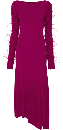 Viscose Boatneck Dress With Feathers