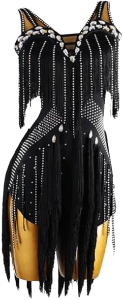 Latin Dance Dresses for Women Professional Competition Cha Cha Costume Fringe Tango Ballroom Performance Dancewear