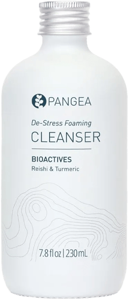Pangea Organics Natural Reishi + Turmeric De-Stress Foaming Facial Cleanser | Vegan, Non-Toxic, Gentle & Hydrating | Sustainable Glass Bottle (7.8 fl oz | 230 ml)