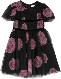 rose-print tulle dress