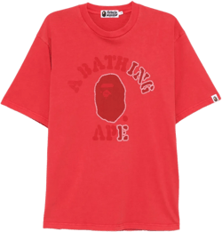 Garment Dye College Relaxed Fit Tee