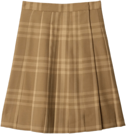 check-pattern pleated skirt