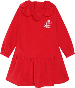 Festive embroidered velvet dress