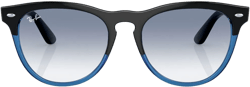 Iris wayfarer-frame sunglasses