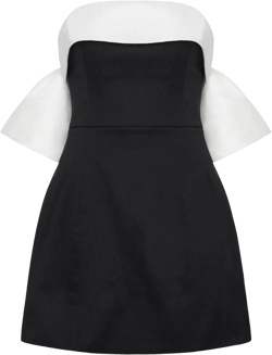 Birdie mini dress