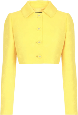 monogram-jacquard button-down cropped jacket