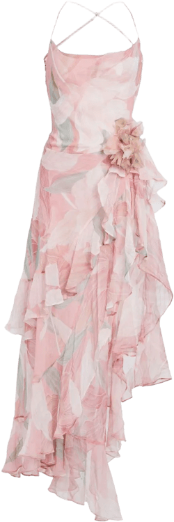Samara floral-print ruffled silk dress