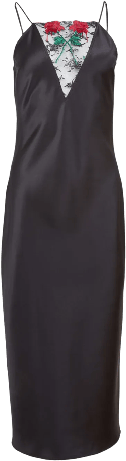 Vampire Rose embroidered slip dress