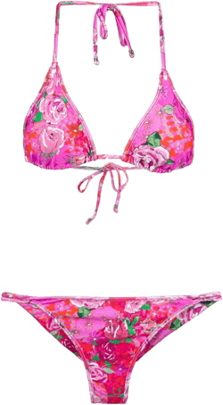 rose print triangle bikini set