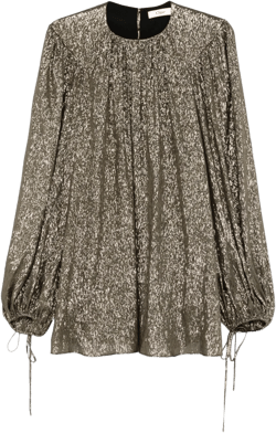 lamé blouse