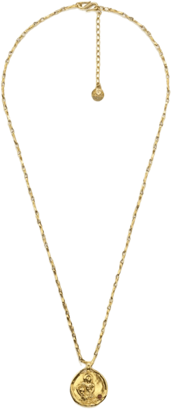 Talisman Astro Aquarius necklace
