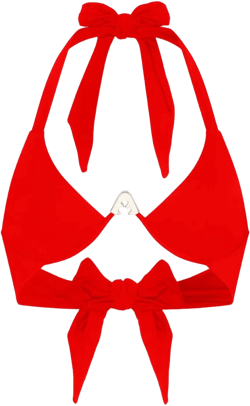 Shark Logo bikini top