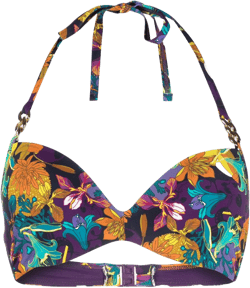Acapulco floral-print bikini top