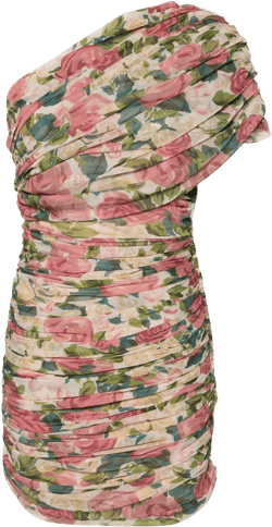 floral-print tulle minidress