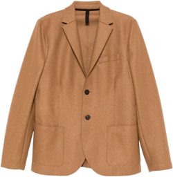 Wool Blazer In 褐色
