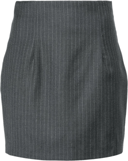 Mani pinstriped mini skirt