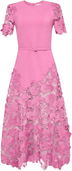 Orchid guipure lace-inset dress