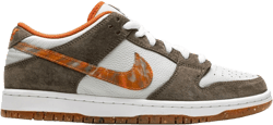 x Crushed DC SB Dunk Low Pro QS sneakers