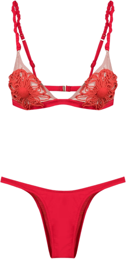 floral-appliqué bikini