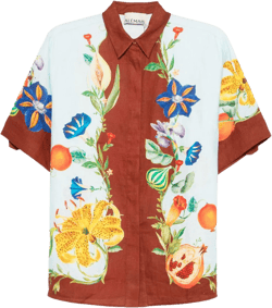Dahlia shirt