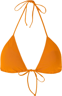 Aava triangle bikini top