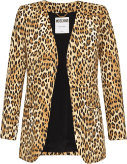 Single-breasted Leopard Print Blazer In Multicolor