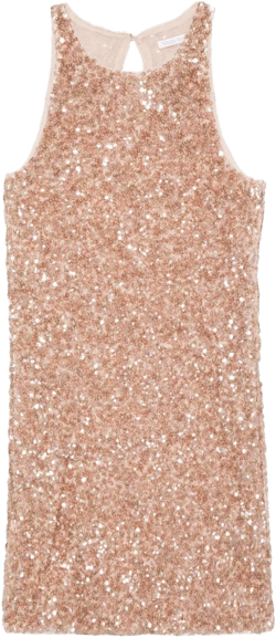 sequined mini dress